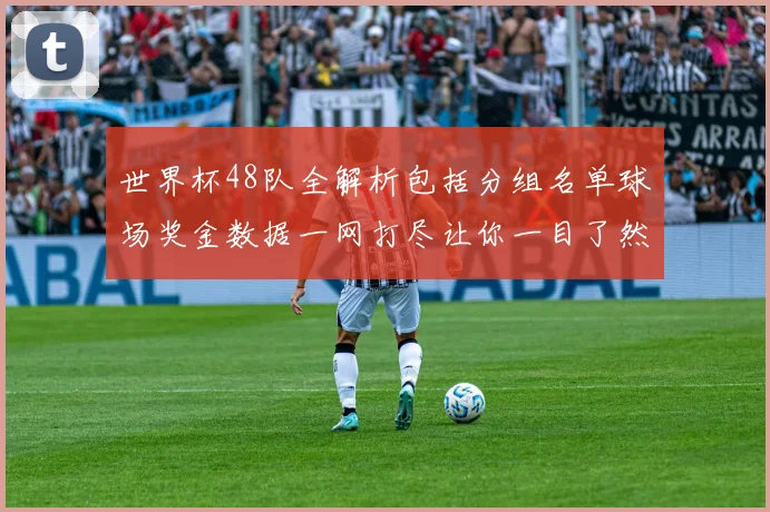 世界杯48队全解析包括分组名单球场奖金数据一网打尽让你一目了然