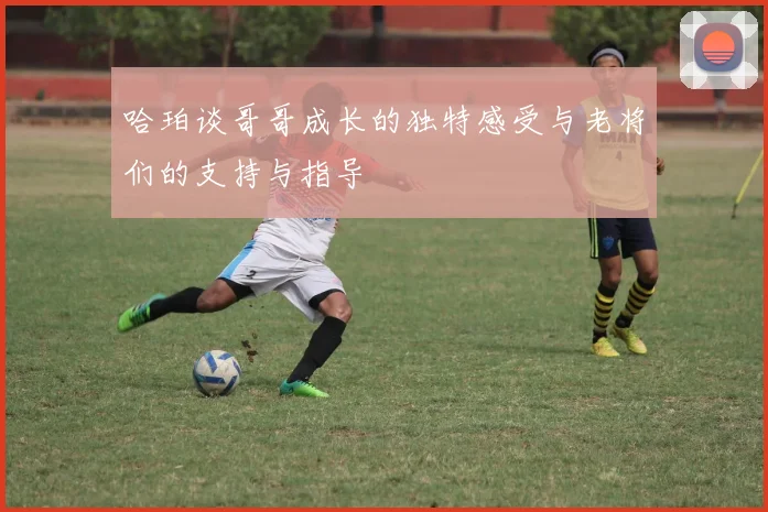 哈珀谈哥哥成长的独特感受与老将们的支持与指导